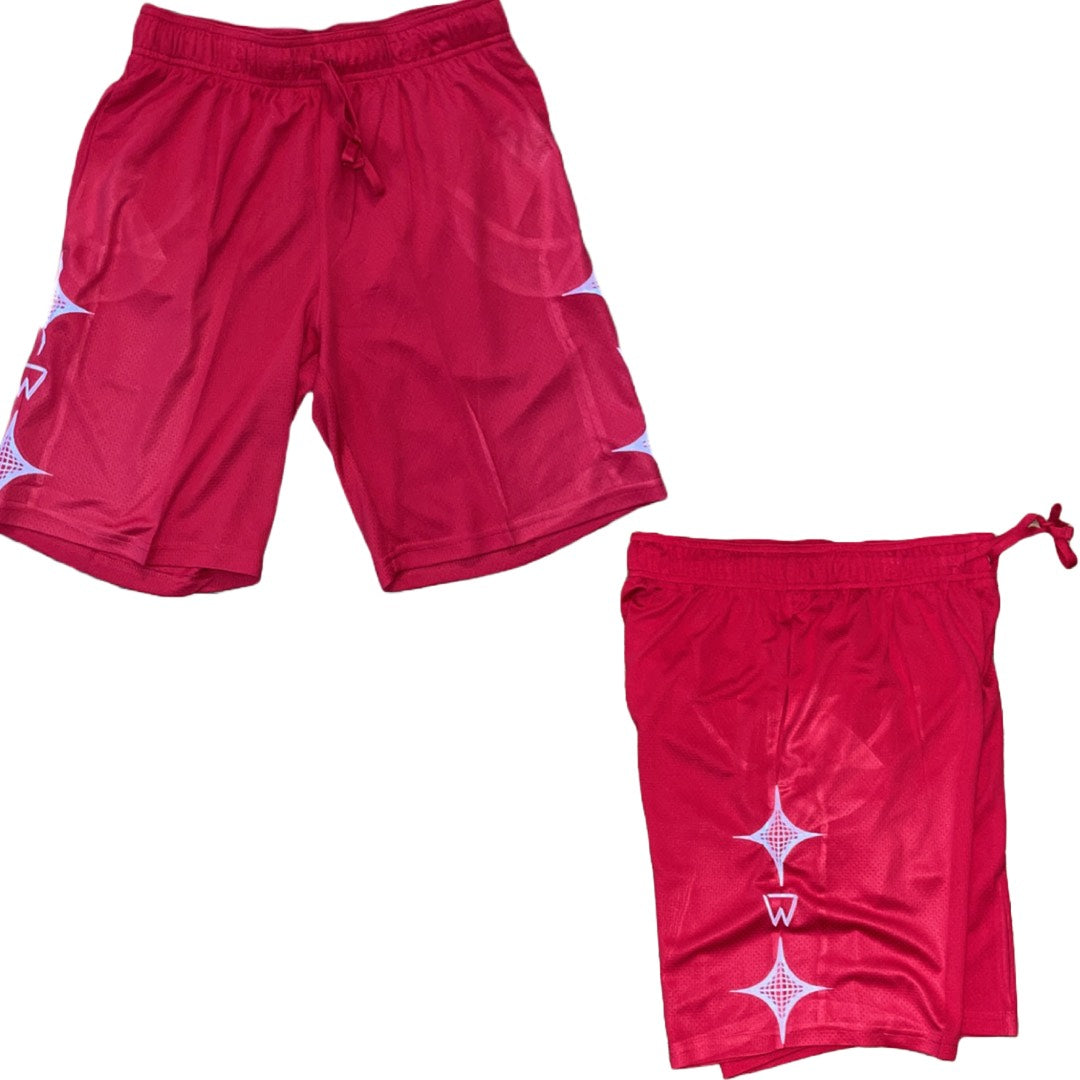 Will Men's active mesh shorts